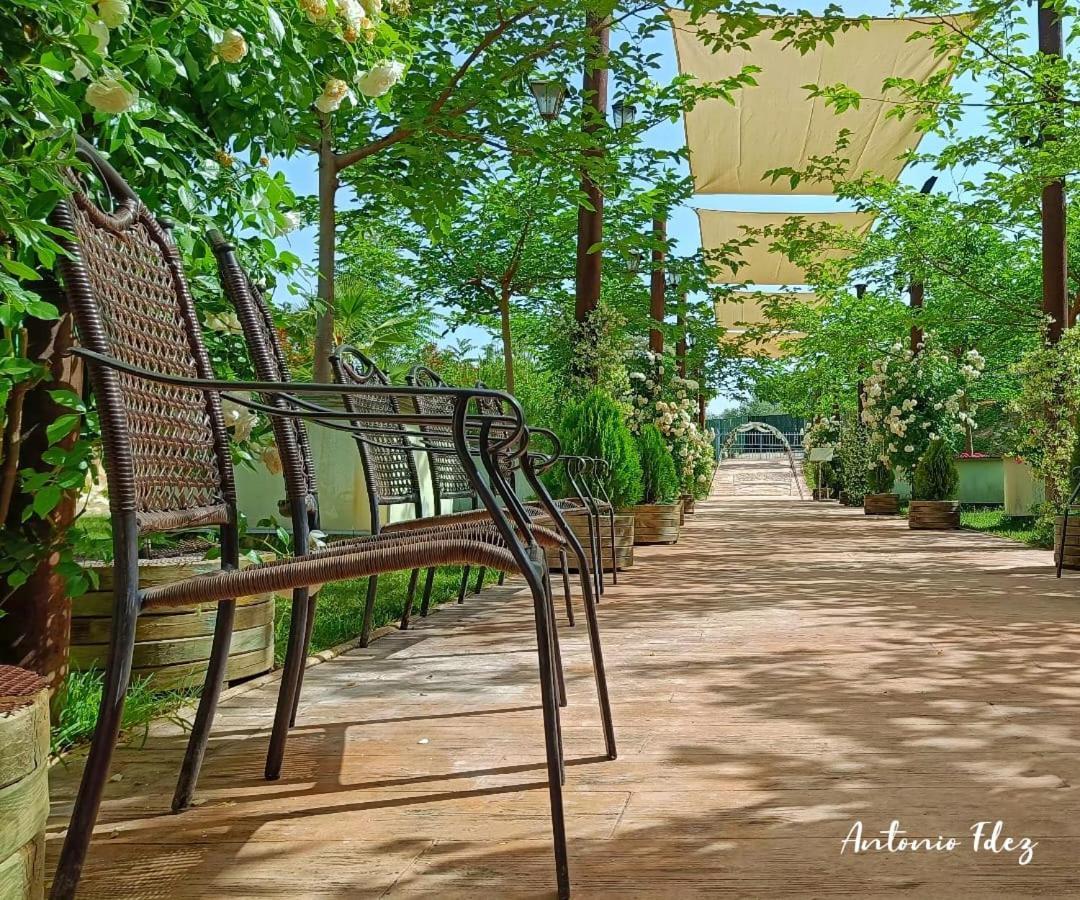 Plaza Manjon